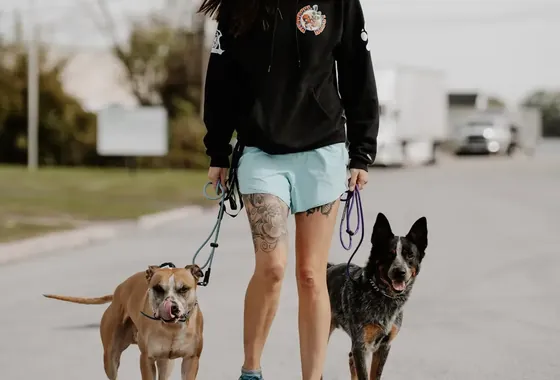 A trainer working a reactive dog through behavior modification